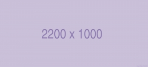 2200 x 1000 image