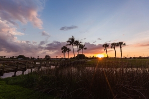 The Dunes course views